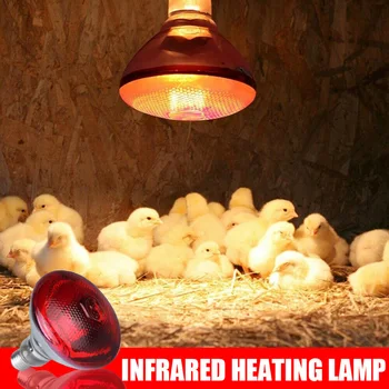 250w infraraudonųjų spindulių šilumos lempa Vandeniui atsparios anti-sprogimo sutirštintos lemputės paršeliams Vištienos paukščiai
