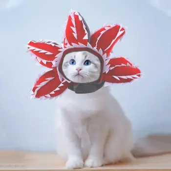 Minkšta pliušinė miela kačių kepurė Daugiafunkcis Žavingas Vidinis lauko kostiumas Reguliuojamos trumpos animacinių filmų skrybėlės katėms Šunys Augintiniai Produktai
